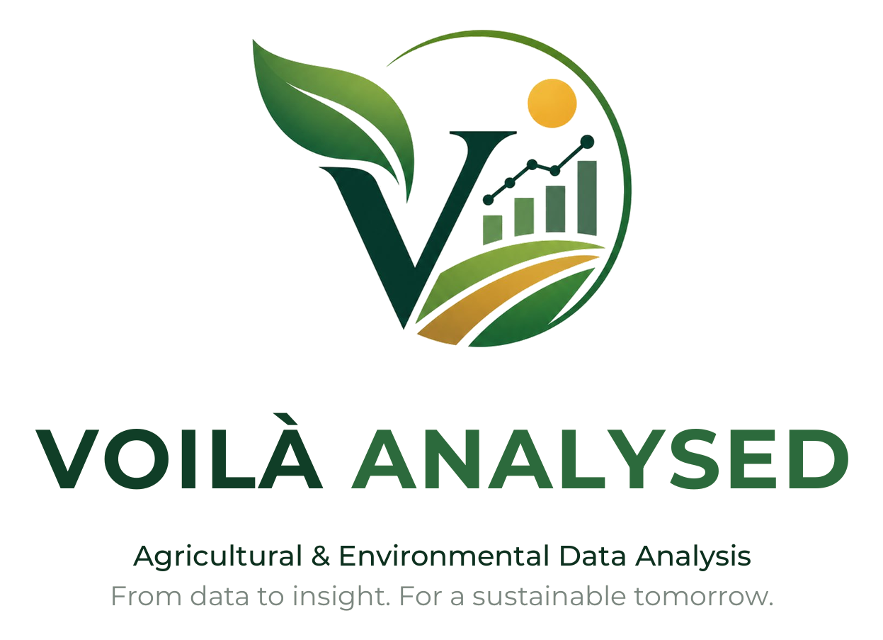 Voilà Analysed